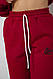 Спортивний костюм жіночий, колір бордовий, 244R4236, фото 6