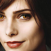 Плакат "Сутінки: Вампірська сага, Еліс Каллен (Ешлі Ґрін), Twilight", 60×40см, фото 2