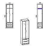 Передпокій Компаніт Фаїна Яблуня, фото 2