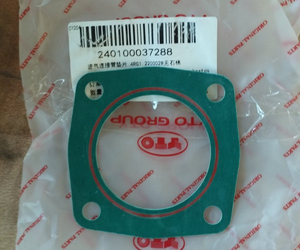 Прокладка 4RG1.220002W 240100037288