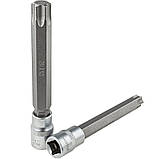 Набір довгих біт впресованих в головку TORX T25-T60 (CrV) 7 од. Vorfal V08404, фото 3