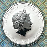 Срібна Монета Австралії 1 долар 2019 р. Рік Свині, фото 5