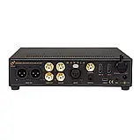 Ferrum WANDLA GoldenSound Edition ЦАП/Передпідсилювач, фото 2