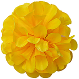 Хризантема атлас, 11см, фото 6