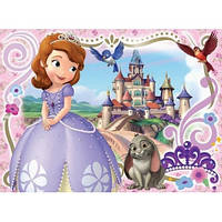 Алмазна мозаїка вишивка (квад. стрази, повна викладка, без підрам.) 20х30 Принцеса Софія DT700