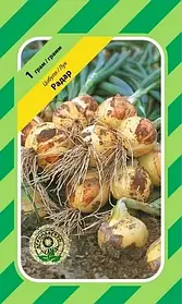 Цибуля Радар 1г Агропакгруп