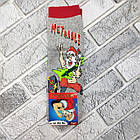 Шкарпетки чоловічі новорічні високі зимові з махрою р.41-44 малюнок асорті MONTEBELLO 30032517, фото 7