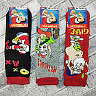Шкарпетки чоловічі новорічні високі зимові з махрою р.41-44 малюнок асорті MONTEBELLO 30032517, фото 2