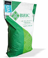 Насіння кукурудзи Гран 6 / п. о.