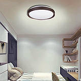 Світильник LED накладний 90W з пультом ДК ULM 0799 450 мм, люстра з пультом дистанційного керування, фото 3