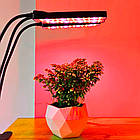 Фітолампа для рослин потрійна (3 режими), від USB, LR-22 / Фітолампа повного спектру / Лампа для рослин, фото 7