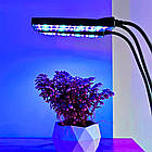 Фітолампа для рослин потрійна (3 режими), від USB, LR-22 / Фітолампа повного спектру / Лампа для рослин, фото 8