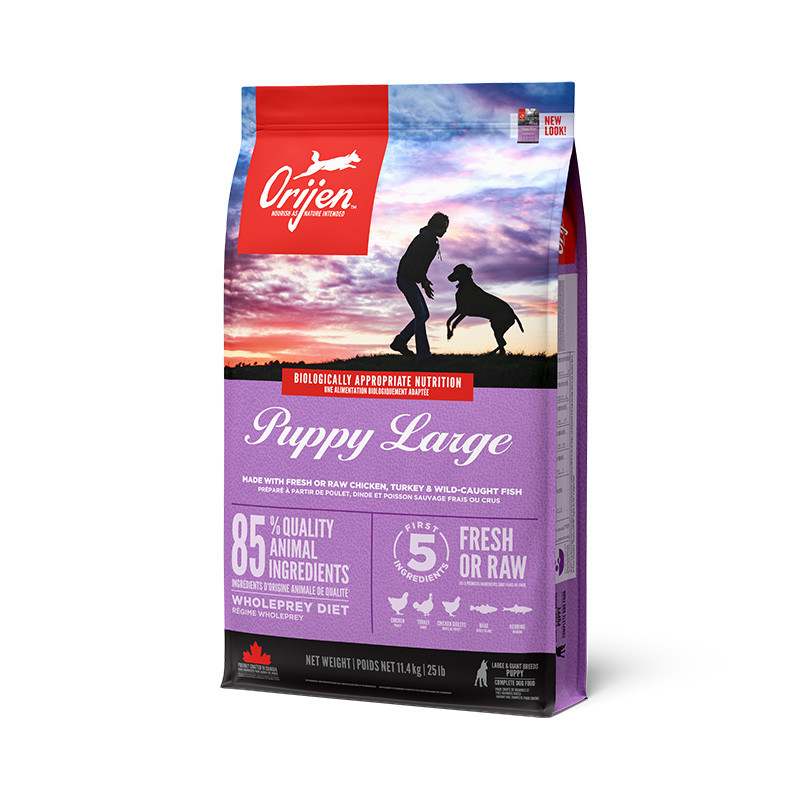 Сухий корм ORIJEN Puppy Large Breed для цуценят великих порід 11.4кг, фото 1