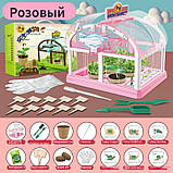 Набір для дослідів домашня теплиця Home made plant Ігровий набір теплиця для вирощування рослин із насінням, фото 8