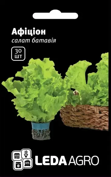 Насіння салату Афицион 30 шт — світло-зелений, тип Батавія LEDAAGRO