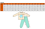 Трикотажна тепла піжама для хлопчиків зріст 104 см (3 - 4 роки) Татошка Синій з принтом, фото 2