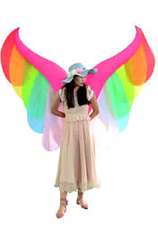 Надувний костюм Крила, Косплей, Костюм крила, Надувний Радуга