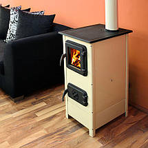 Опалювально-варильна піч буржуйка на дровах з конфоркою для приготування їжі MBS Hera 7 кВт, фото 3