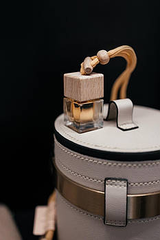 Гардеробний аромадифузор для одягу та дому Lost Cherry