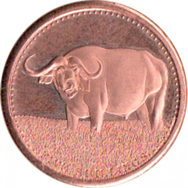 Сомалі 5 шилінгiв, 2013 рік №2615, фото 1