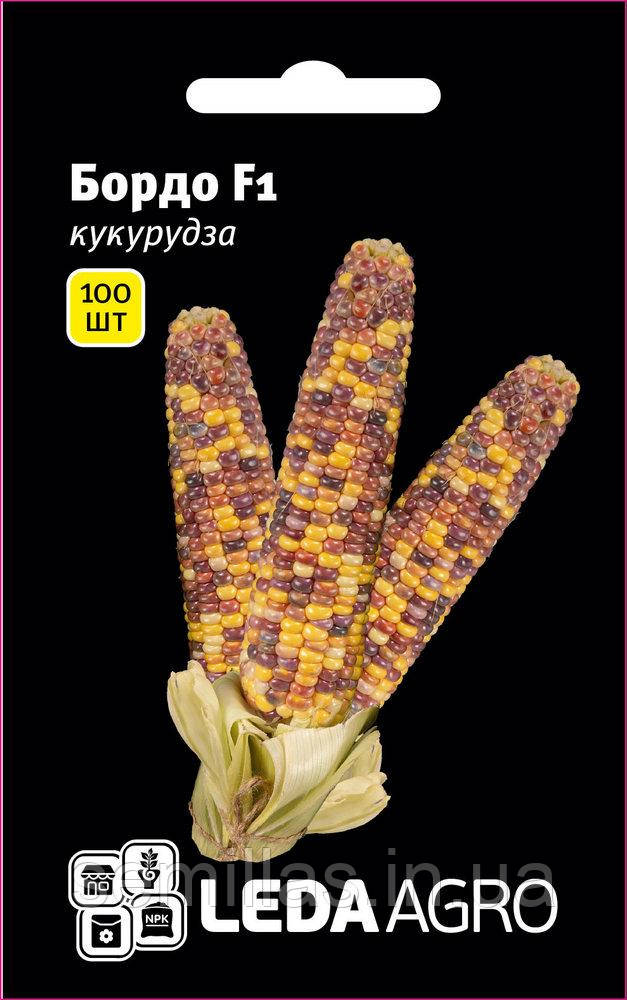 Насіння кукурудзи Бордо (Український Біколор) F1, 100 шт., біколор, суперсолодкої, ТМ "ЛєдаАгро"