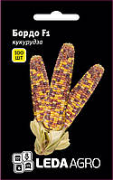 Насіння кукурудзи Бордо (Український Біколор) F1, 100 шт., біколор, суперсолодкої, ТМ "ЛєдаАгро"