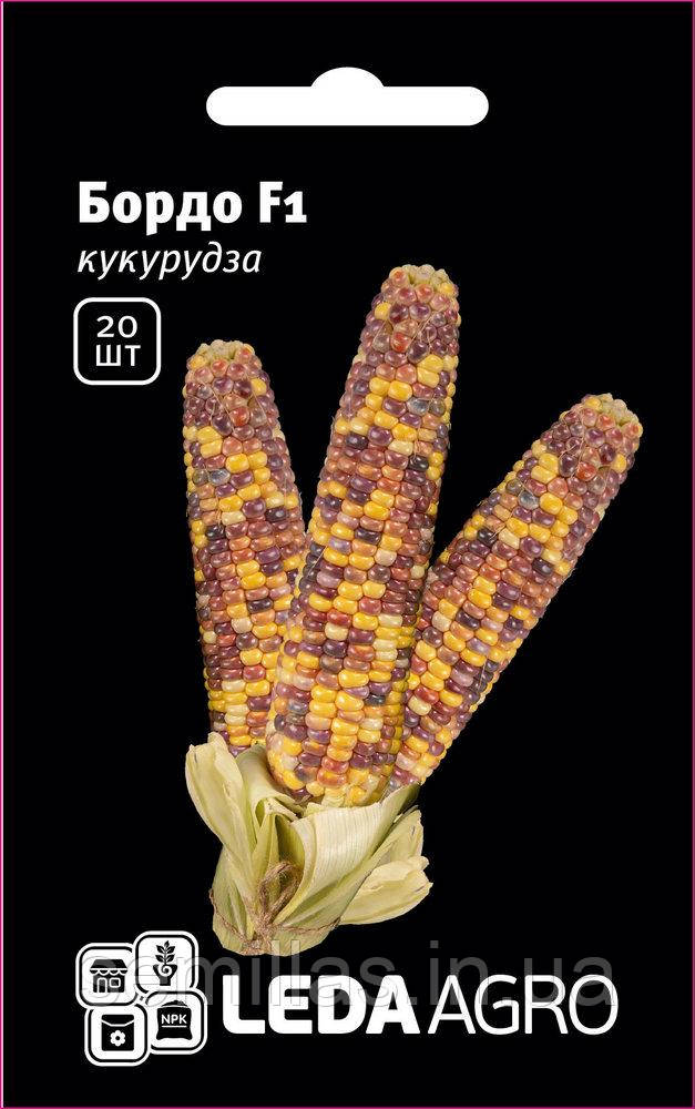 Насіння кукурудзи Бордо (Український Біколор) F1, 20 шт., біколор, суперсолодкої, ТМ "ЛєдаАгро"