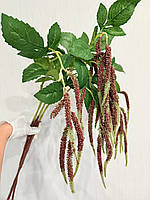 Штучний амарант. Гілка декоративного амаранту ( 98 см), фото 6