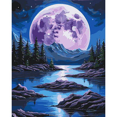 Картина за номерами 40х50 см. Нічна магія AC11059