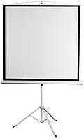 Екран на тринозі 2E 1:1, 135", 2.4x2.4 м, MW