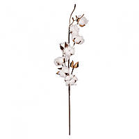 Декоративна гілка YES! Fun Бавовна 65 см (973940)