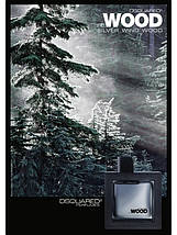 Dsquared2 He Wood Silver Wind Wood туалетная вода 100 ml. (Дискраред 2 Хі Вуд Сільвер Вінд Вуд), фото 2