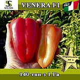 Перець солодкий Венера F1 / Venera F1 , 500 насінин, ТМ Solare Sementi (Італія), фото 2