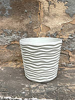 Фьюжен 12*11см Біла роза