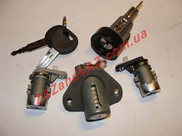 Личинки в сборе Ланос Сенс