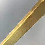 Душова стінка DUSEL Walk-In WL172G Gold 100х200 см золотий профіль нерухоме прозоре скло 8 мм, фото 7