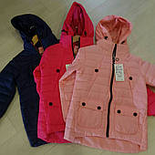 Куртка на дівчинку весняна GRACE