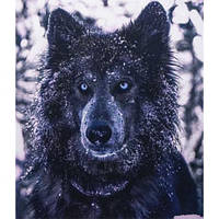 Алмазний живопис 40х50 GLE77610 у картонній коробці купити дешево оптом в інтернет-магазині