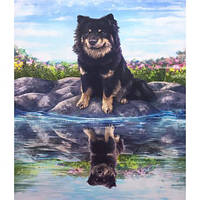 Алмазний живопис 40х50 GLE77580 у картонній коробці купити дешево оптом в інтернет-магазині