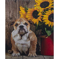 Алмазний живопис 40х50 GLE77317 у картонній коробці купити дешево оптом в інтернет-магазині