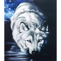 Алмазний живопис 40х50 GLE77177 у картонній коробці купити дешево оптом в інтернет-магазині