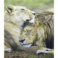 Алмазний живопис 40х50 GLE76614  у картонній коробці купити дешево оптом в інтернет-магазині