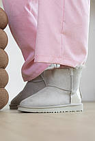 Зимові Жіночі Черевики UGG Classic Mini Zip Lacquer Grey / Уггі Класик Міні Зіп Лакер Сірі (Хутро), фото 2