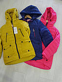 Куртка на дівчинку весняна GRACE
