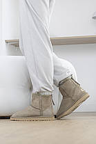 Зимові Жіночі Черевики UGG Classic Mini Zip Dark Beige / УГГ Класік Міні Зіп Темно Бежеві, фото 5