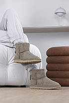 Зимові Жіночі Черевики UGG Classic Mini Zip Dark Beige / УГГ Класік Міні Зіп Темно Бежеві, фото 6