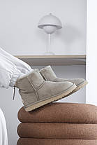 Зимові Жіночі Черевики UGG Classic Mini Zip Dark Beige / УГГ Класік Міні Зіп Темно Бежеві, фото 3