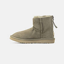 Зимові Жіночі Черевики UGG Classic Mini Zip Dark Beige / УГГ Класік Міні Зіп Темно Бежеві, фото 4