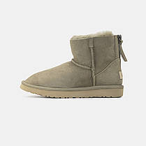 Зимові Жіночі Черевики UGG Classic Mini Zip Dark Beige / УГГ Класік Міні Зіп Темно Бежеві, фото 3