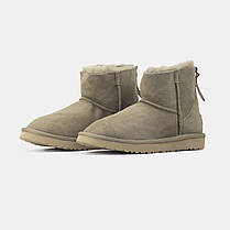 Зимові Жіночі Черевики UGG Classic Mini Zip Dark Beige / УГГ Класік Міні Зіп Темно Бежеві, фото 5